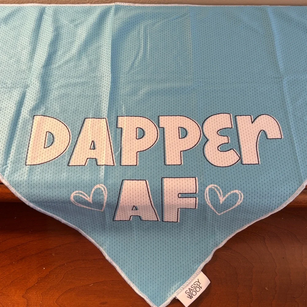 NWT Dapper AF Bandana